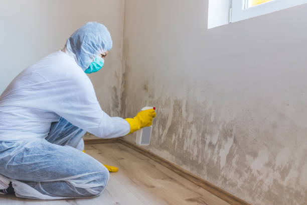 Licensed Commercial Mold Remediation service in Montville, NJ - WQB Mold Removal