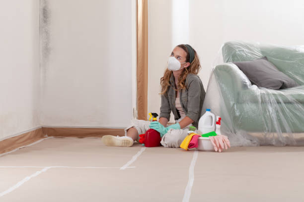 Reliable Commercial Mold Remediation contractor in Montville, NJ by WQB Mold Removal
